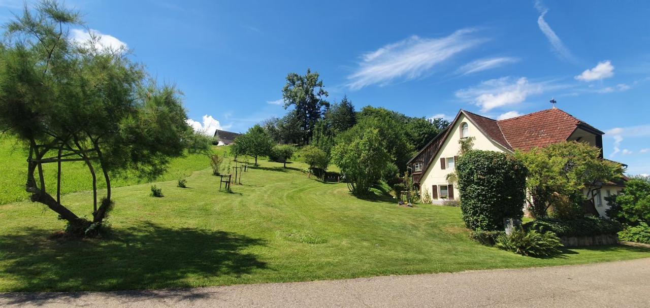 Paradies 2 Castellberg-Jakobsweg Apartman Döttingen Kültér fotó