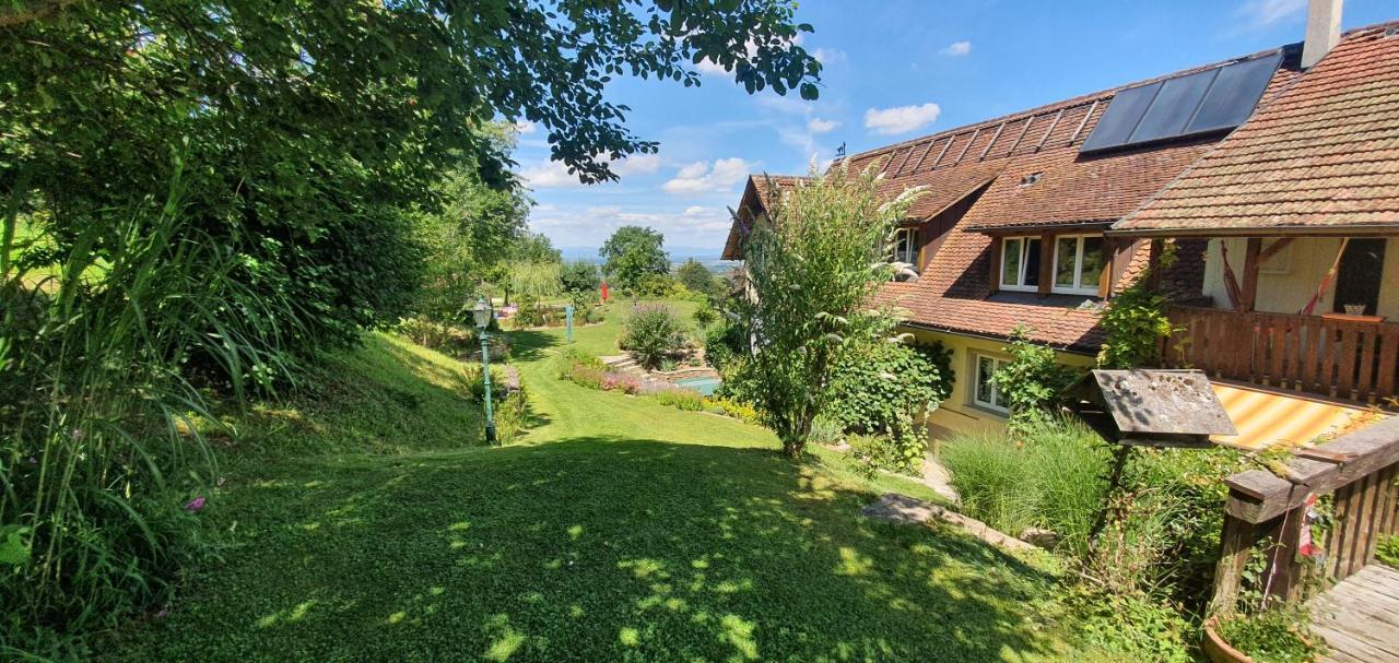 Paradies 2 Castellberg-Jakobsweg Döttingen Kültér fotó