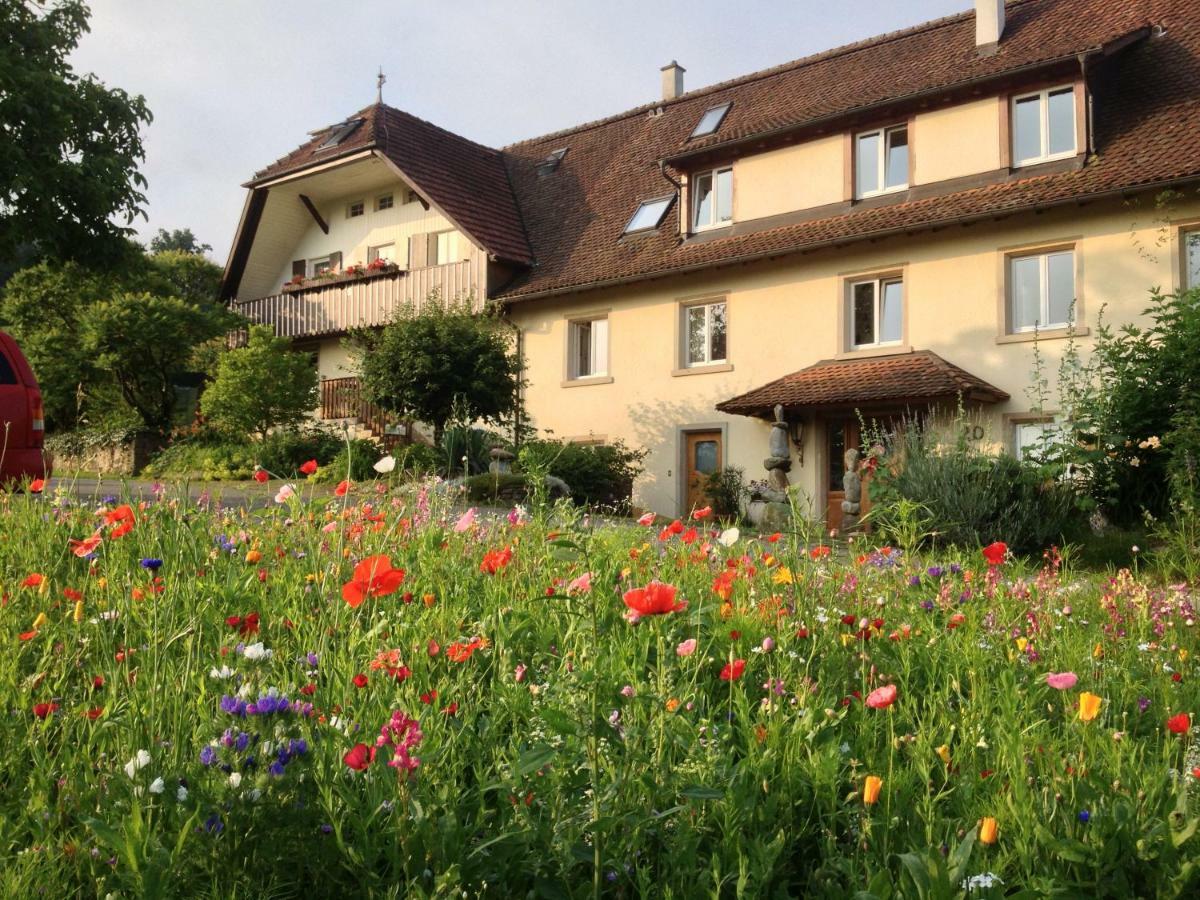 Paradies 2 Castellberg-Jakobsweg Döttingen Kültér fotó