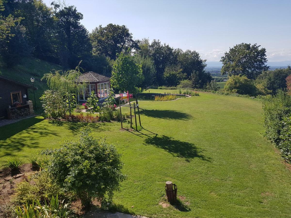 Paradies 2 Castellberg-Jakobsweg Döttingen Kültér fotó