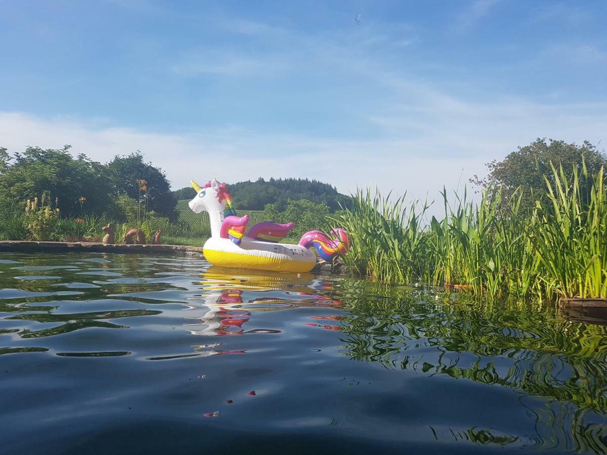 Paradies 2 Castellberg-Jakobsweg Döttingen Kültér fotó